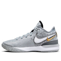 Nike Zoom LeBron NXXT Gen 'Wolf Grey Metallic Gold' DR8784-004