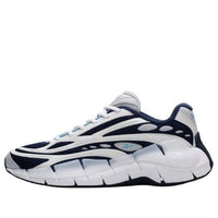 Reebok Zig Kinetica 2.5 'Pure Grey Sheer Blue' 100062885