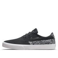 Nike Shane Premium SB 'Dark Smoke Grey Paisley' DH7146-001