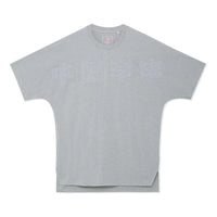 Li-Ning Big Logo Crew Neck T-shirt 'Grey' AHSS243-1