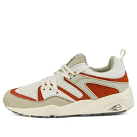 PUMA Blaze Of Glory 'Vaporous Grey Warm Chestnut' 387575-03